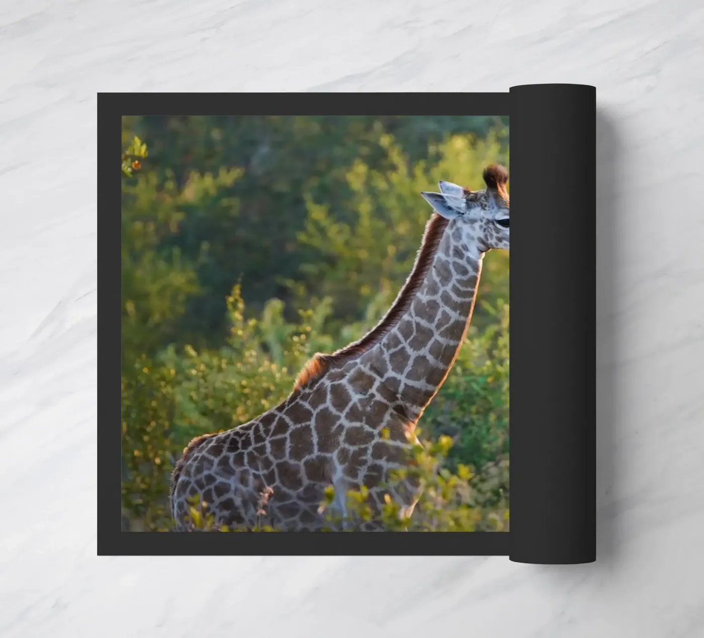 Giraffe young doormat by Tom's Wildlife