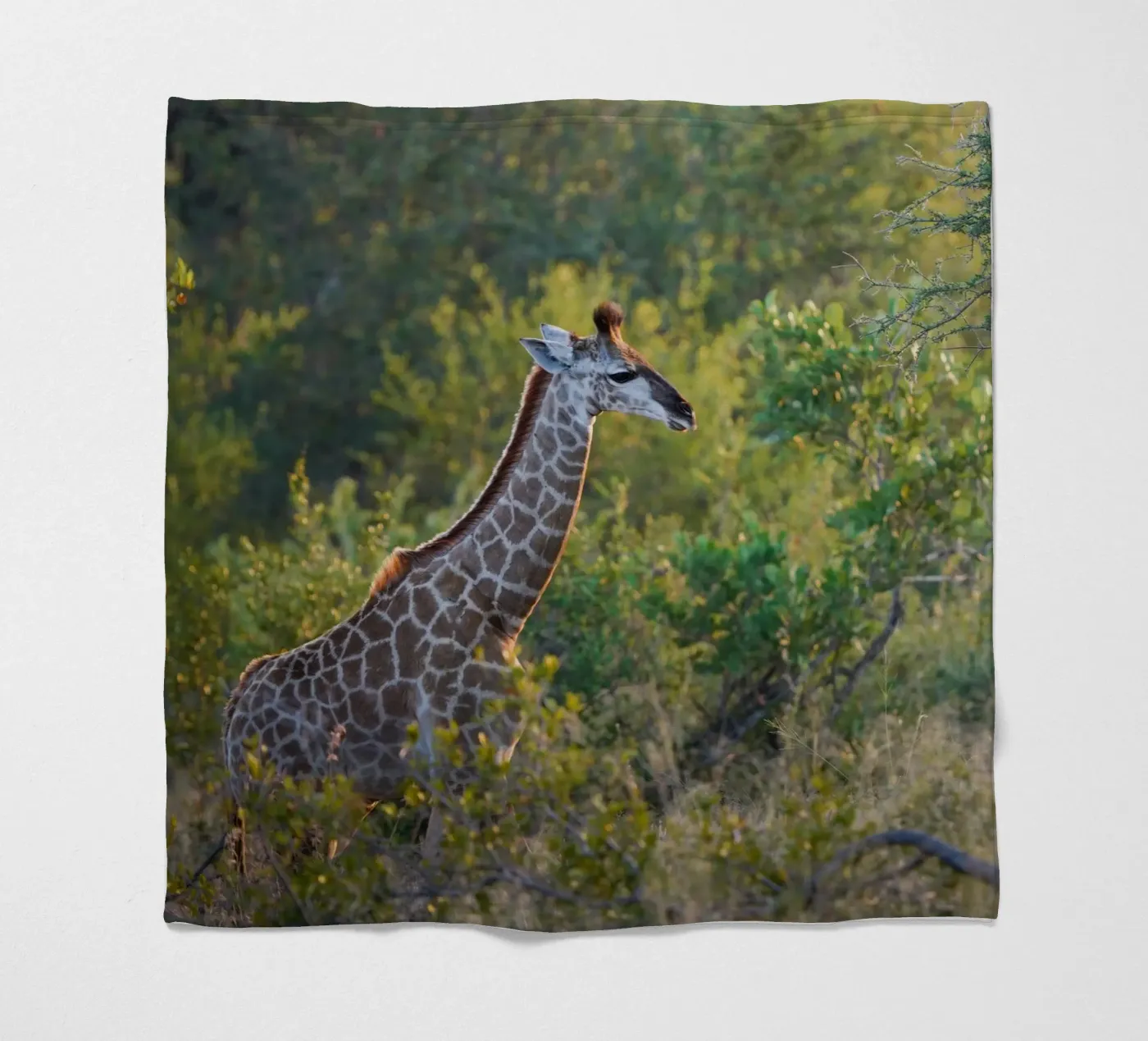 Giraffe jong fleecedeken van Tom's Wildlife