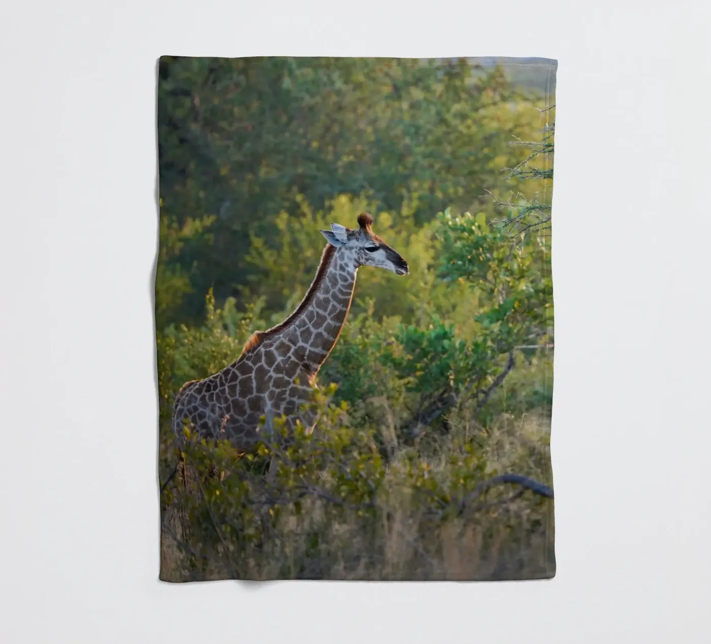 Giraffe jong fleecedeken van Tom's Wildlife