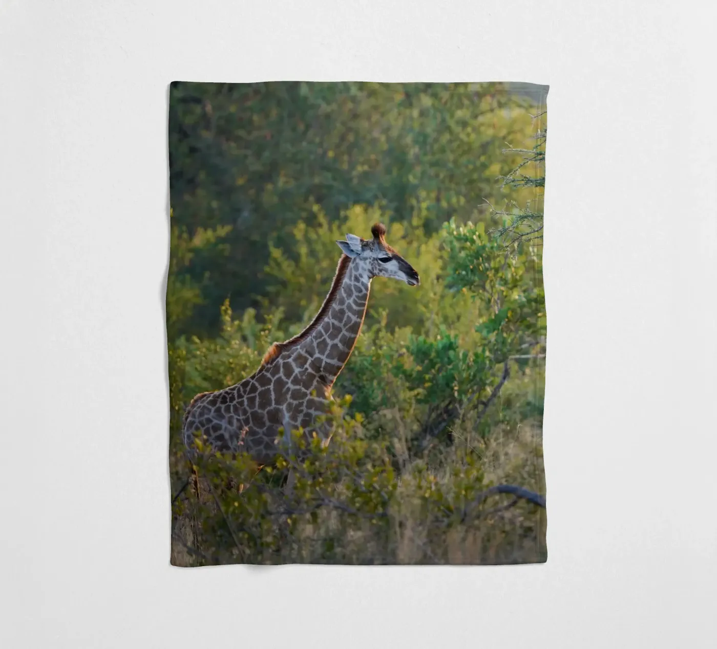 Giraffe jong fleecedeken van Tom's Wildlife