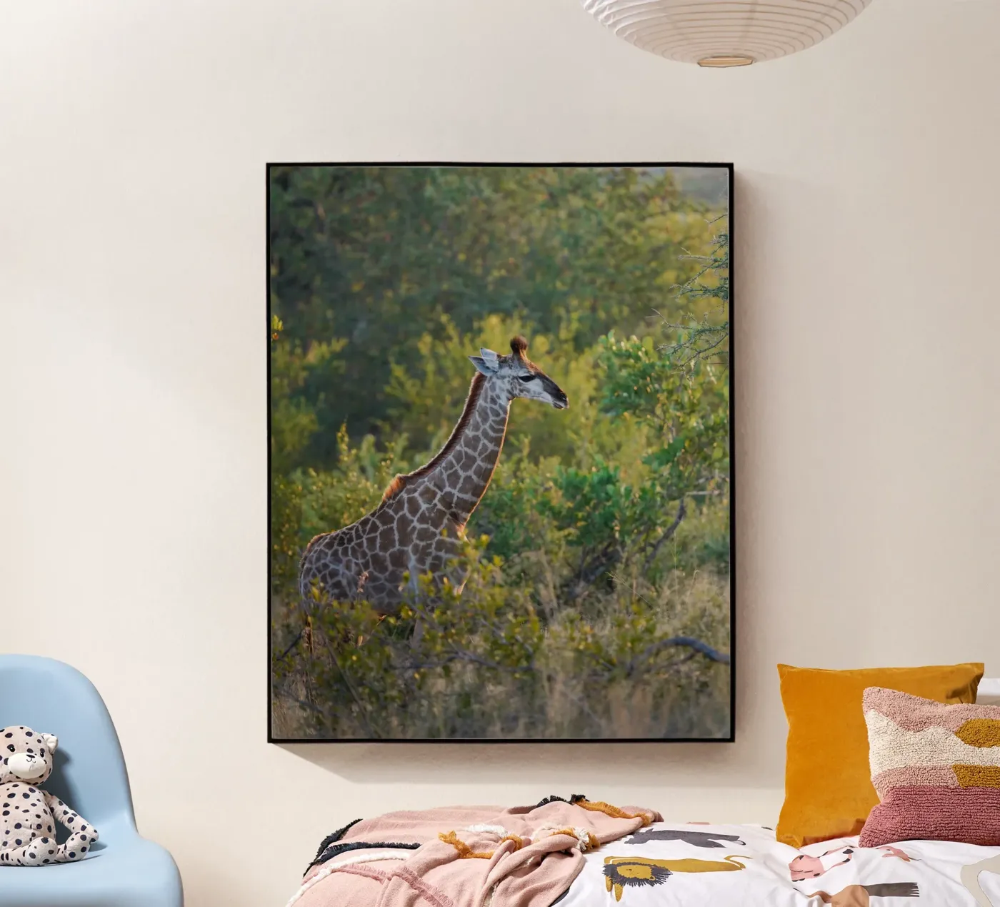 Giraffe young plexiglass da Tom's Wildlife