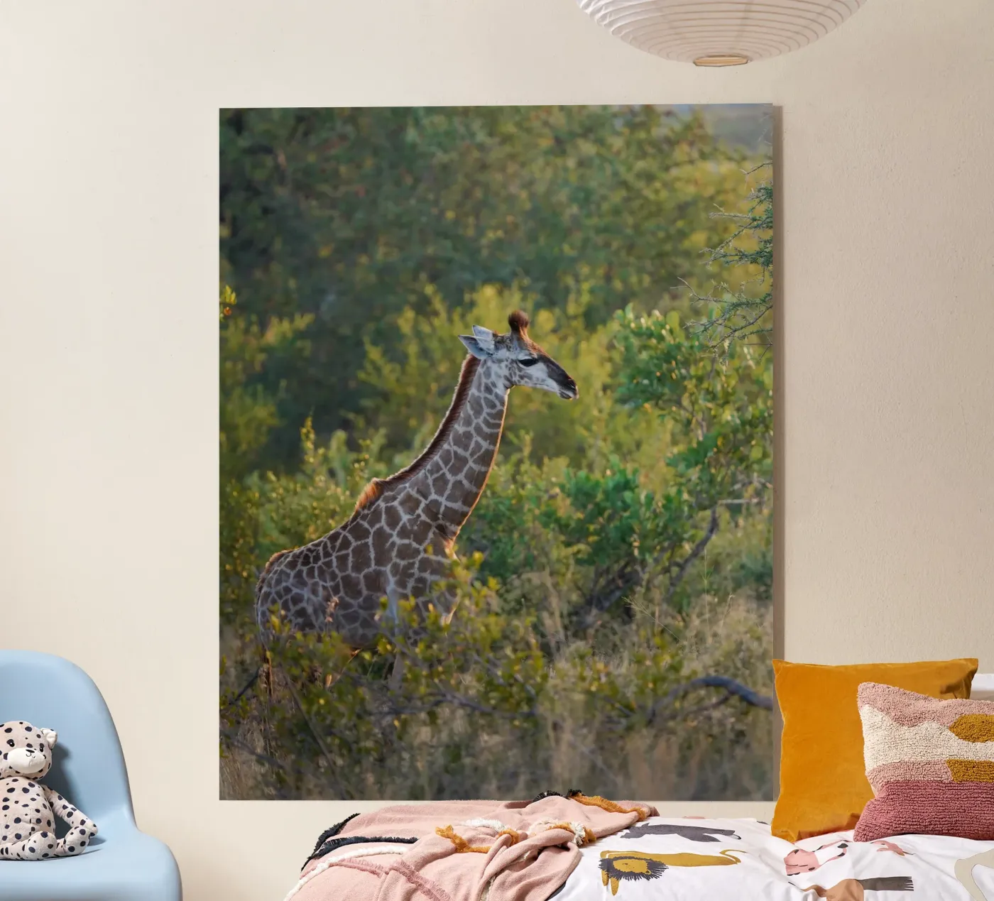 Giraffe young plexiglass da Tom's Wildlife