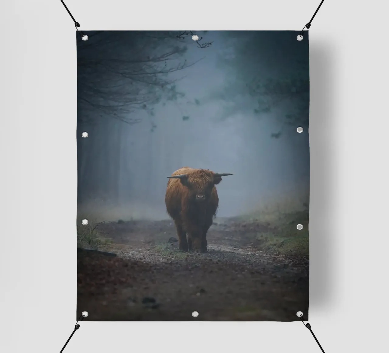 Mucca Highland in una foresta nebbiosa telo in pvc da Tom's Wildlife