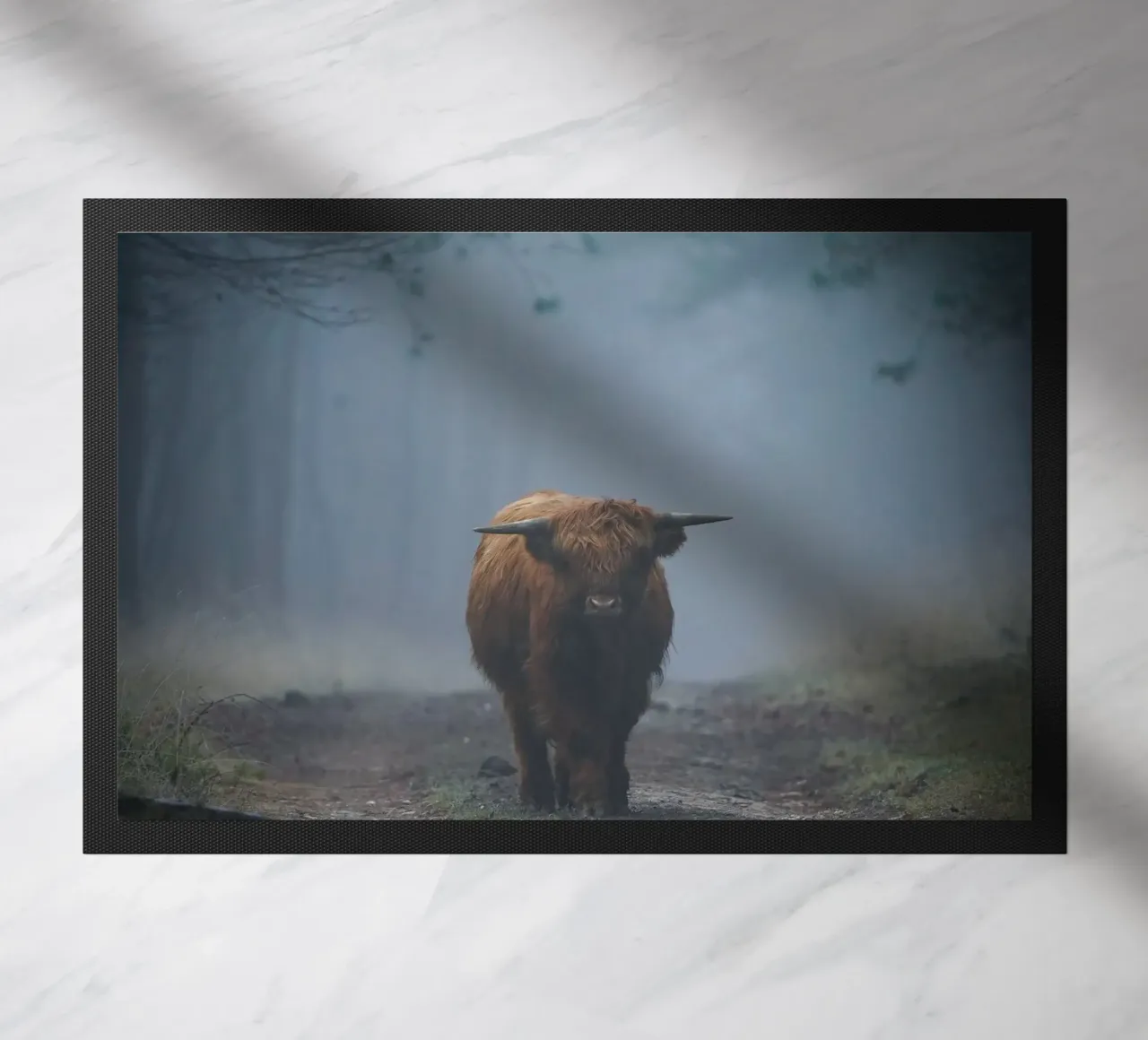 Mucca Highland in una foresta nebbiosa zerbino da Tom's Wildlife