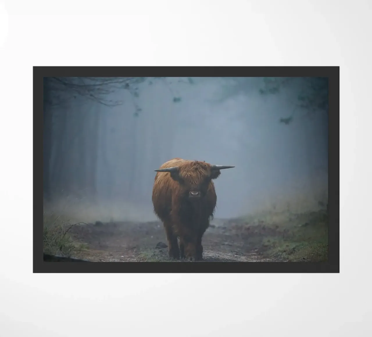 Mucca Highland in una foresta nebbiosa zerbino da Tom's Wildlife