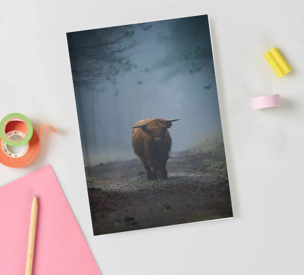 Mucca Highland in una foresta nebbiosa diario da Tom's Wildlife