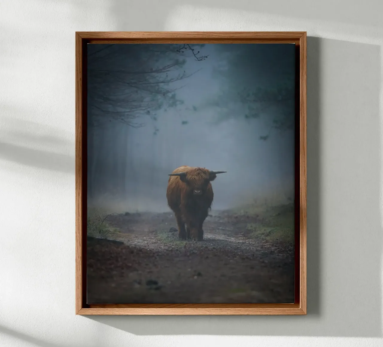 Mucca Highland in una foresta nebbiosa tela da Tom's Wildlife
