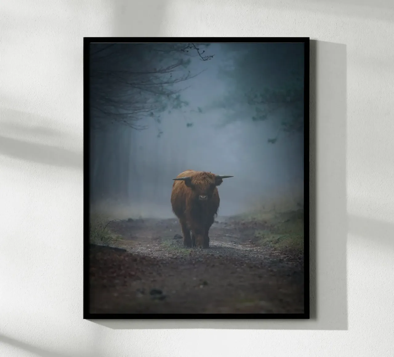 Mucca Highland in una foresta nebbiosa carta hahnemühle da Tom's Wildlife