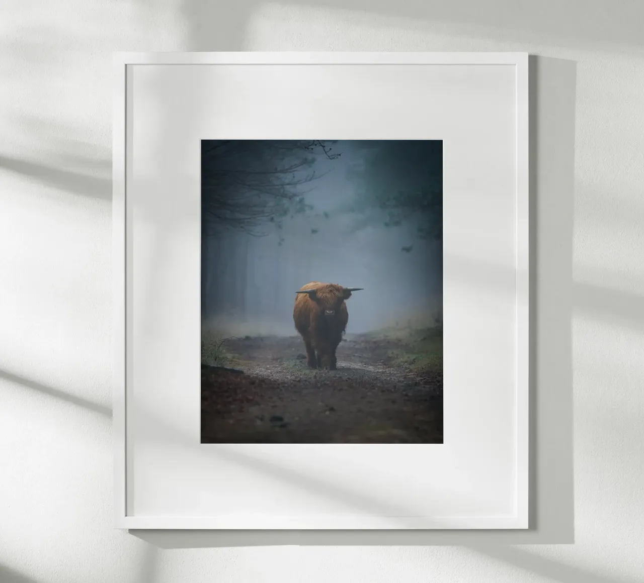 Mucca Highland in una foresta nebbiosa carta hahnemühle da Tom's Wildlife