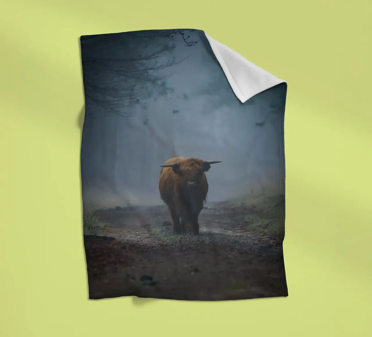 Mucca Highland in una foresta nebbiosa coperta in pile da Tom's Wildlife