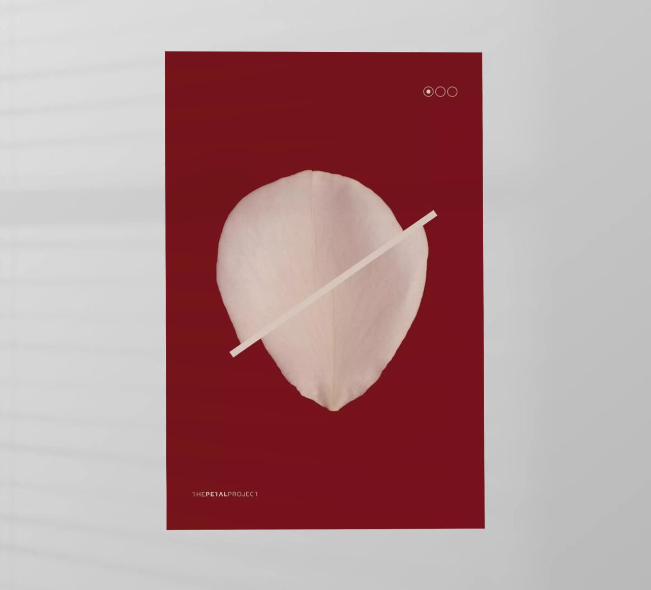 Petal Project No. 01 pellicola backlit da Bryon S. White