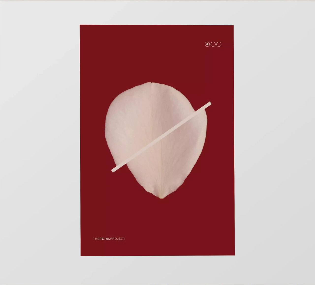 Petal Project No. 01 pellicola backlit da Bryon S. White