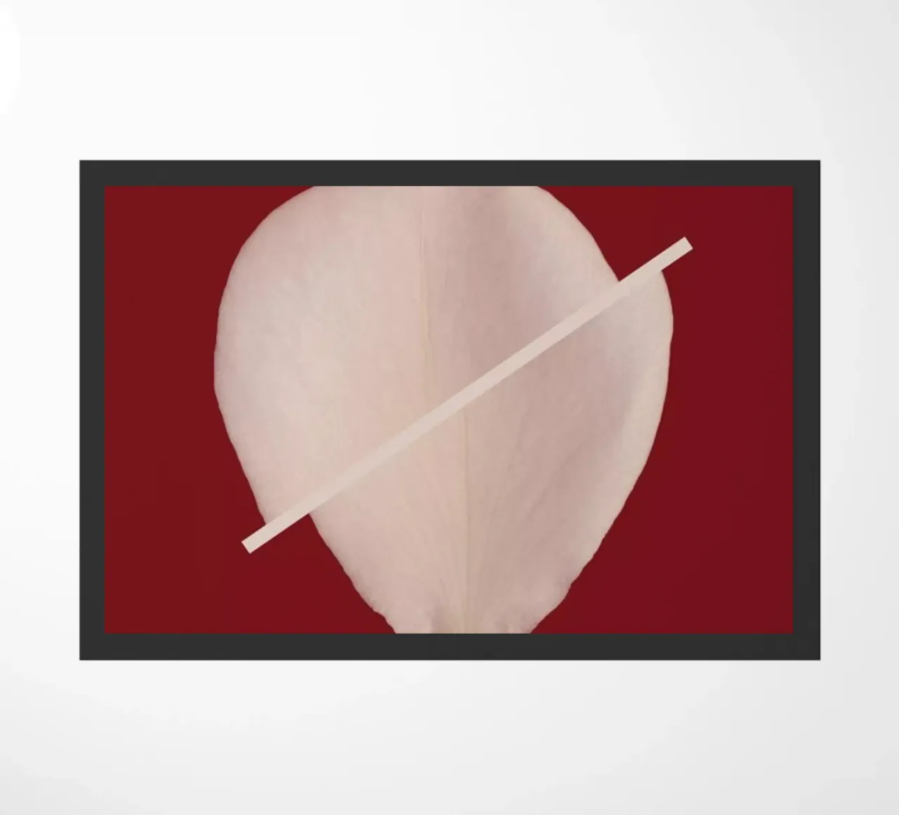 Petal Project No. 01 zerbino da Bryon S. White