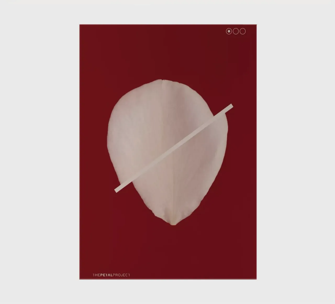 Petal Project No. 01 notebook by Bryon S. White