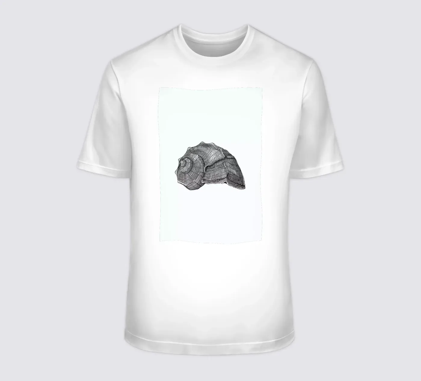 Seashell t-shirt da Pen & Ink