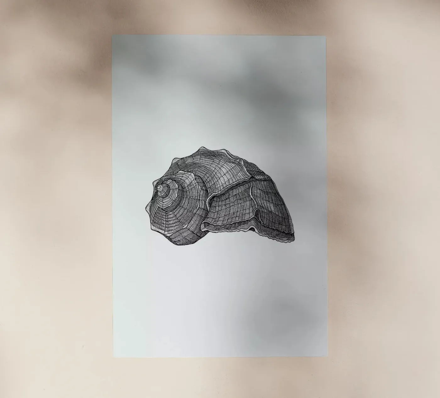 Seashell backlit folie van Pen & Ink