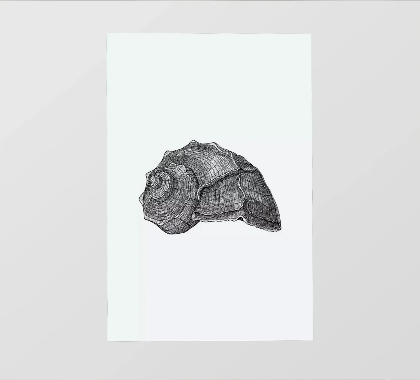 Seashell backlit folie van Pen & Ink