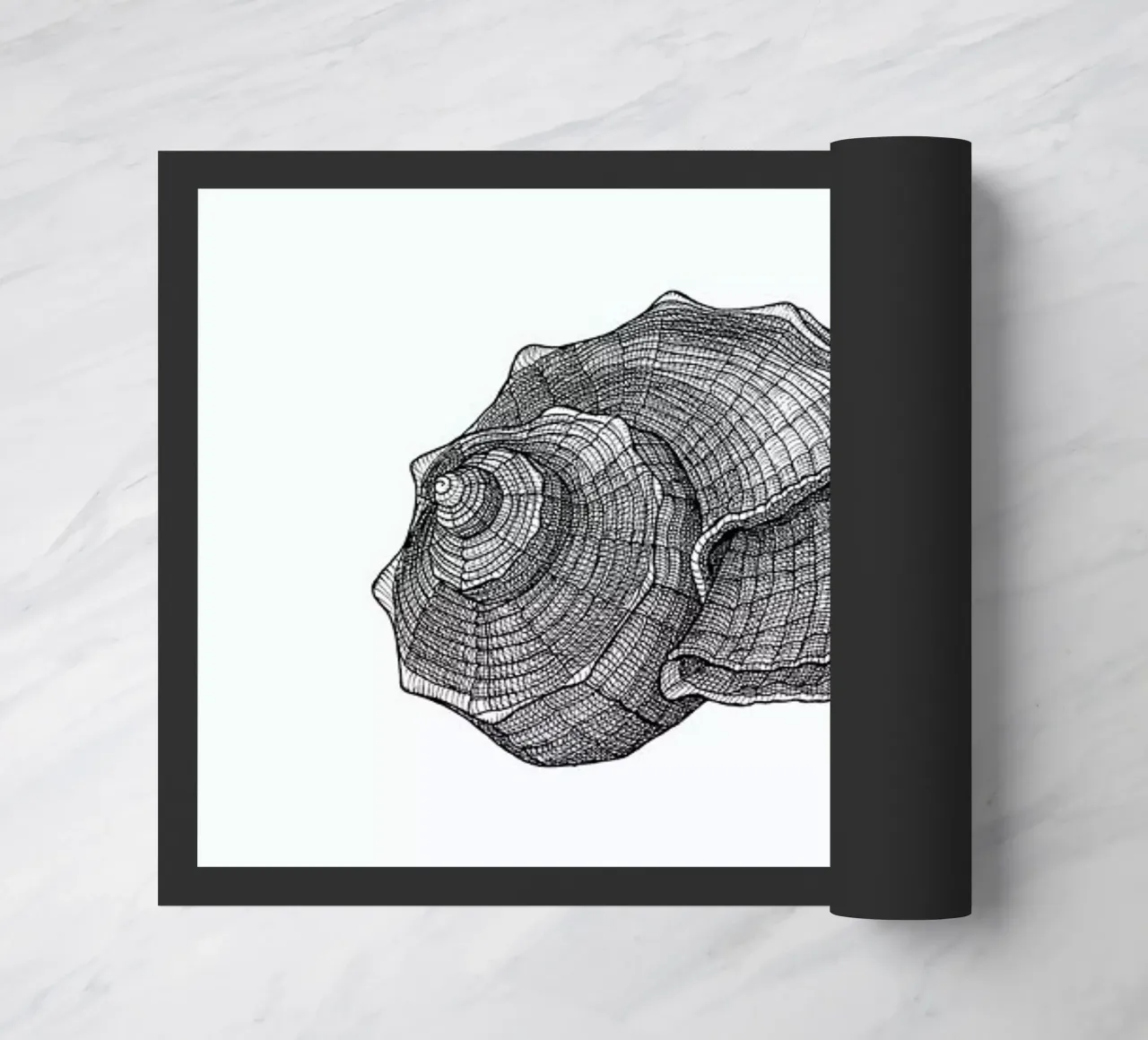 Seashell zerbino da Pen & Ink