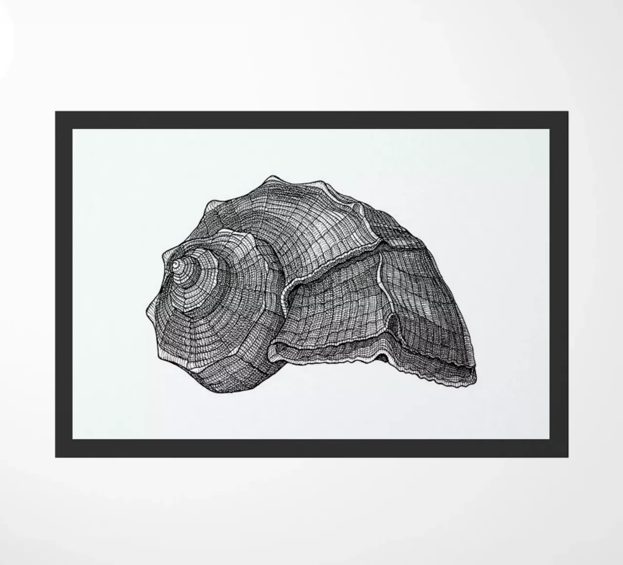 Seashell zerbino da Pen & Ink