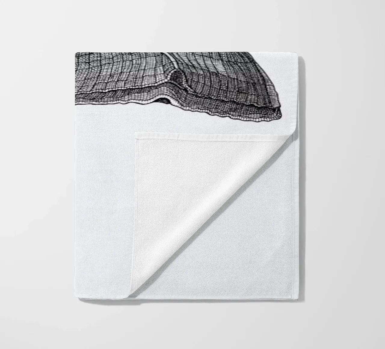 Seashell telo mare da Pen & Ink