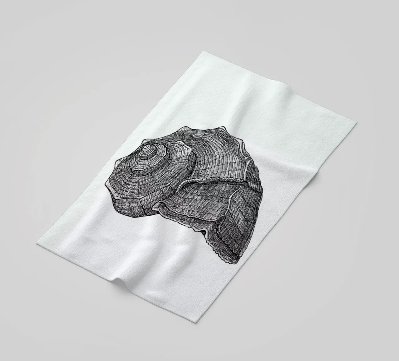 Seashell telo mare da Pen & Ink