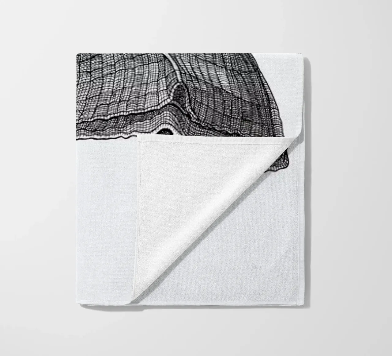 Seashell telo mare da Pen & Ink