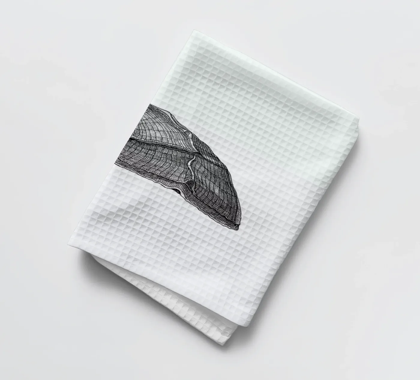 Seashell torchon de Pen & Ink