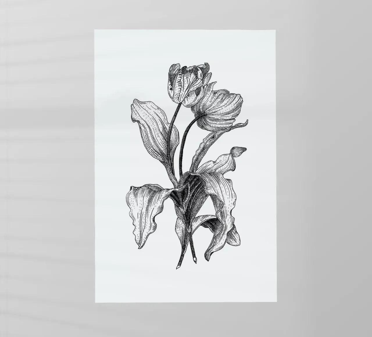 Tulips pellicola backlit da Pen & Ink