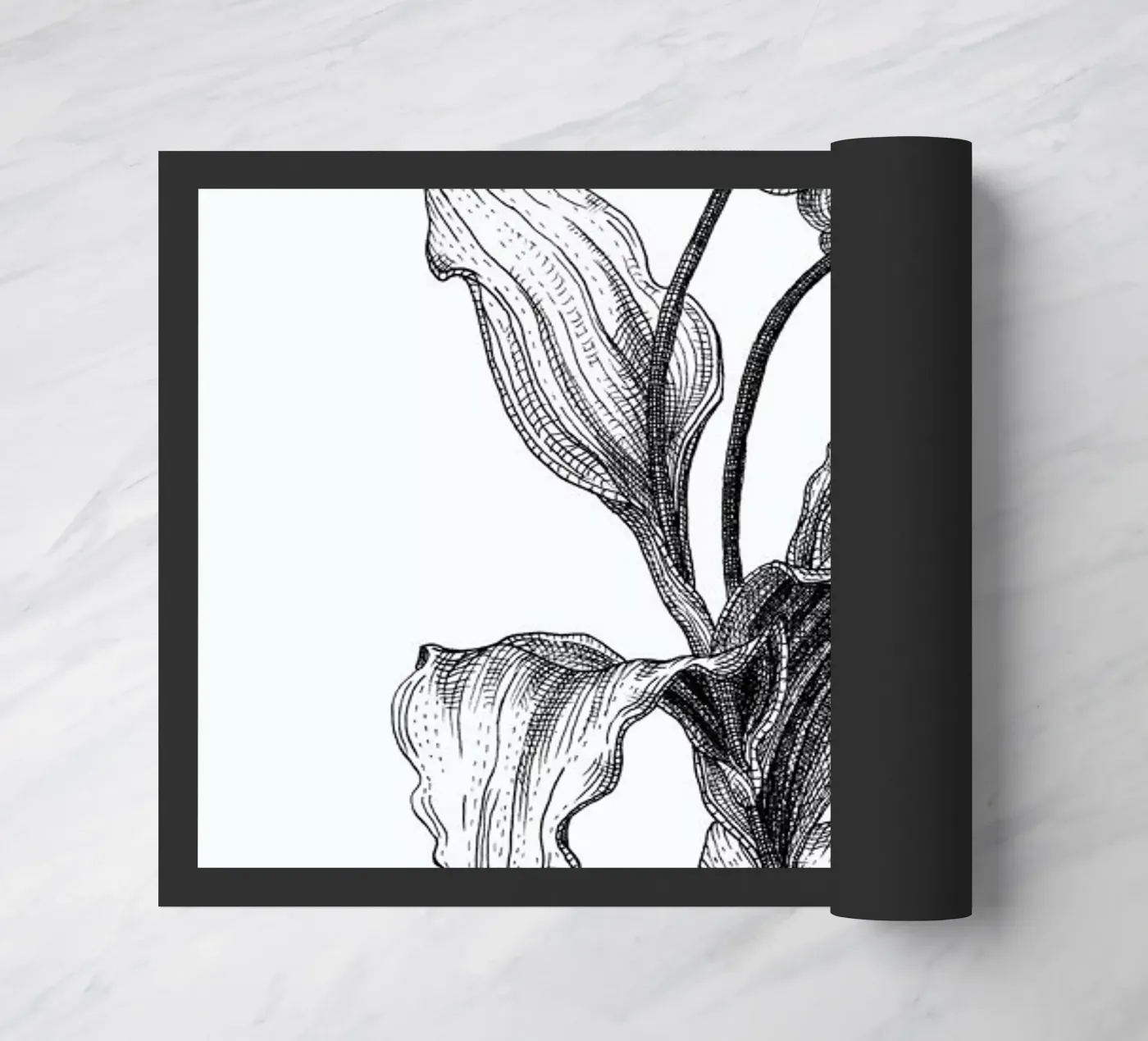 Tulips zerbino da Pen & Ink