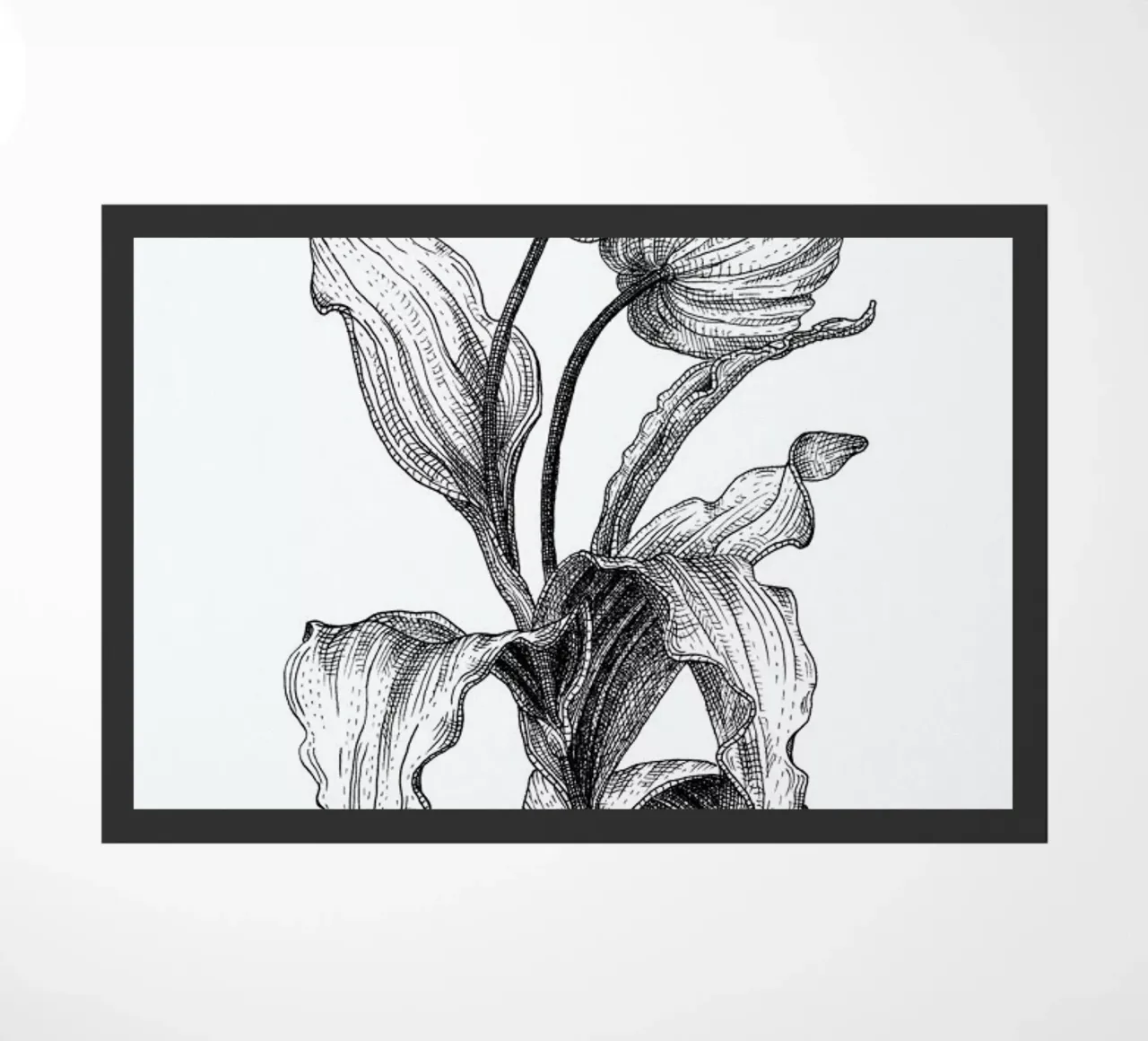 Tulips zerbino da Pen & Ink