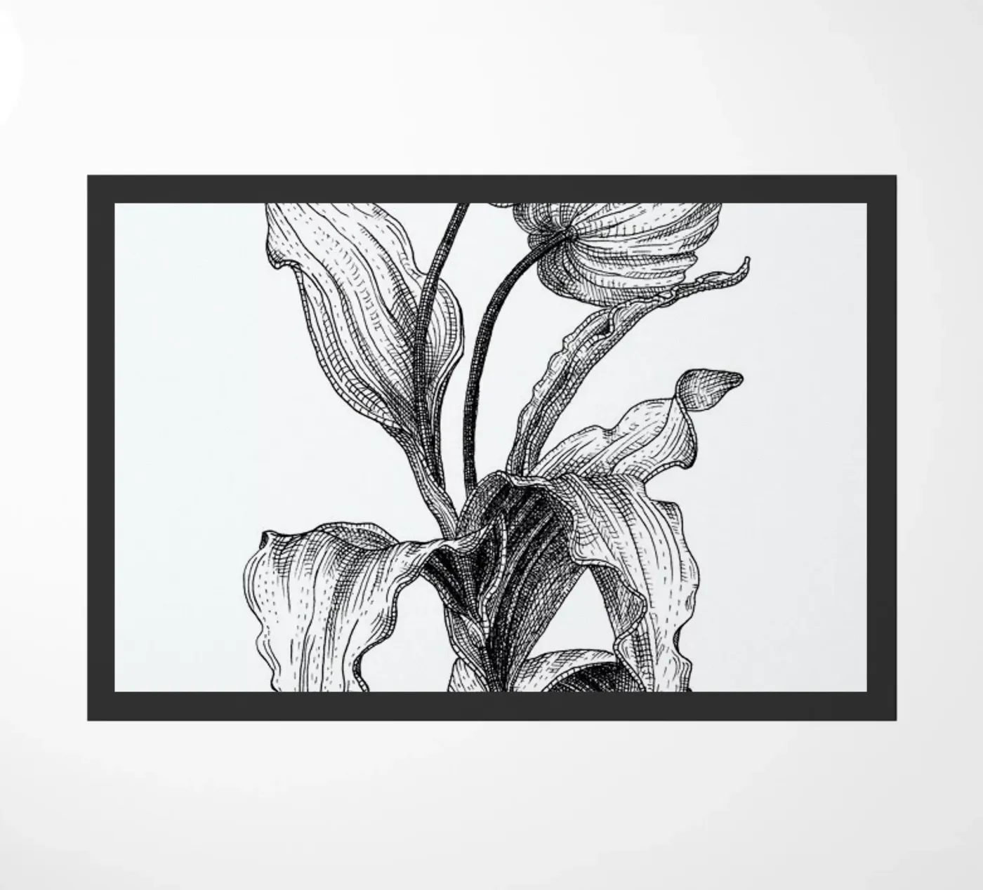 Tulips zerbino da Pen & Ink