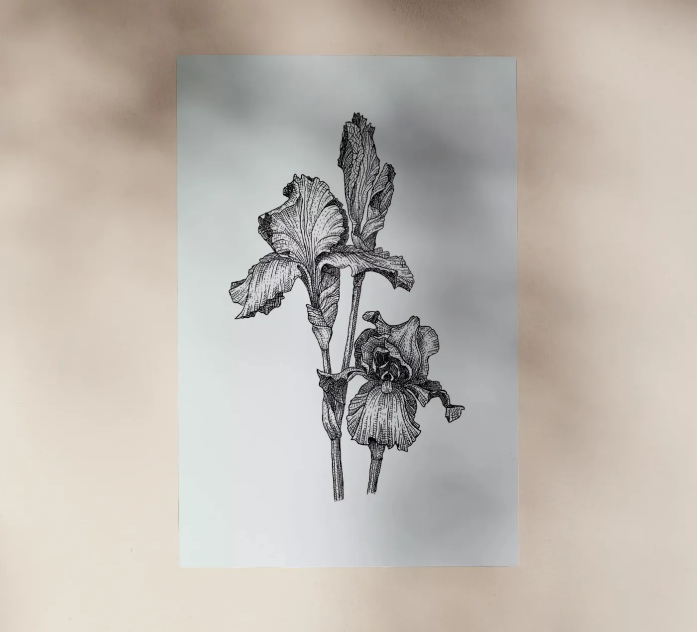 Orchids pellicola backlit da Pen & Ink