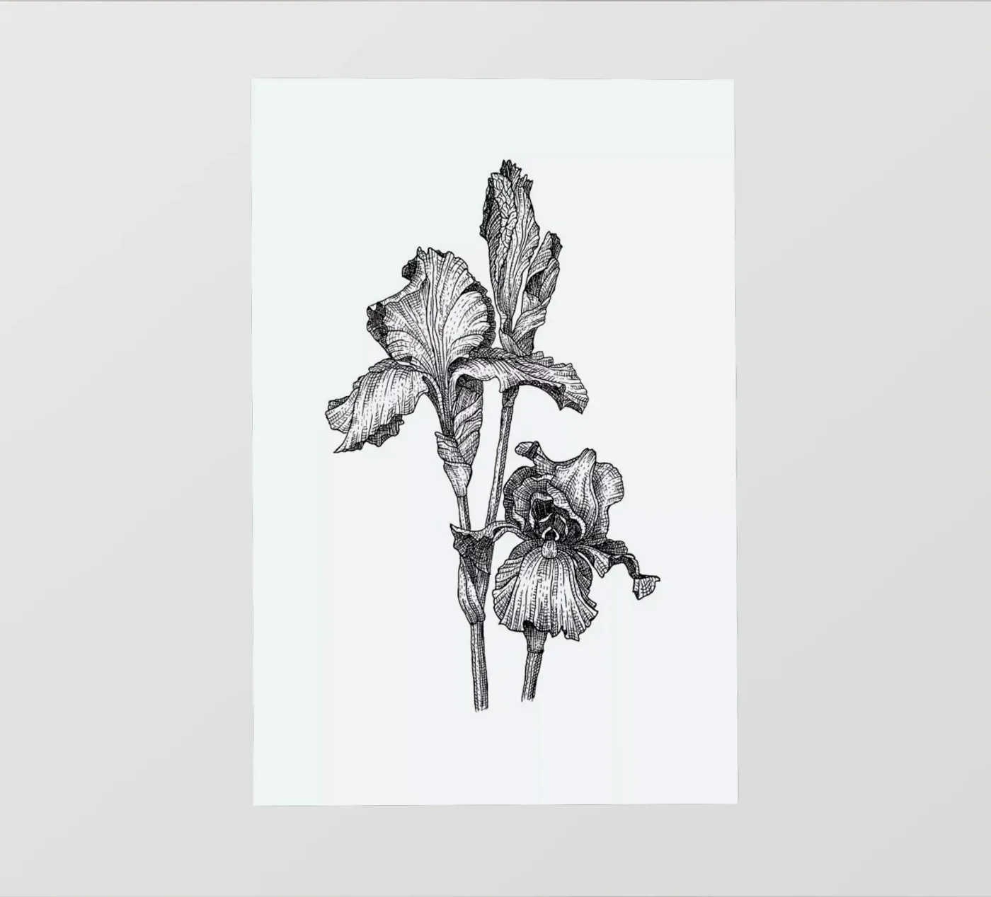 Orchids pellicola backlit da Pen & Ink