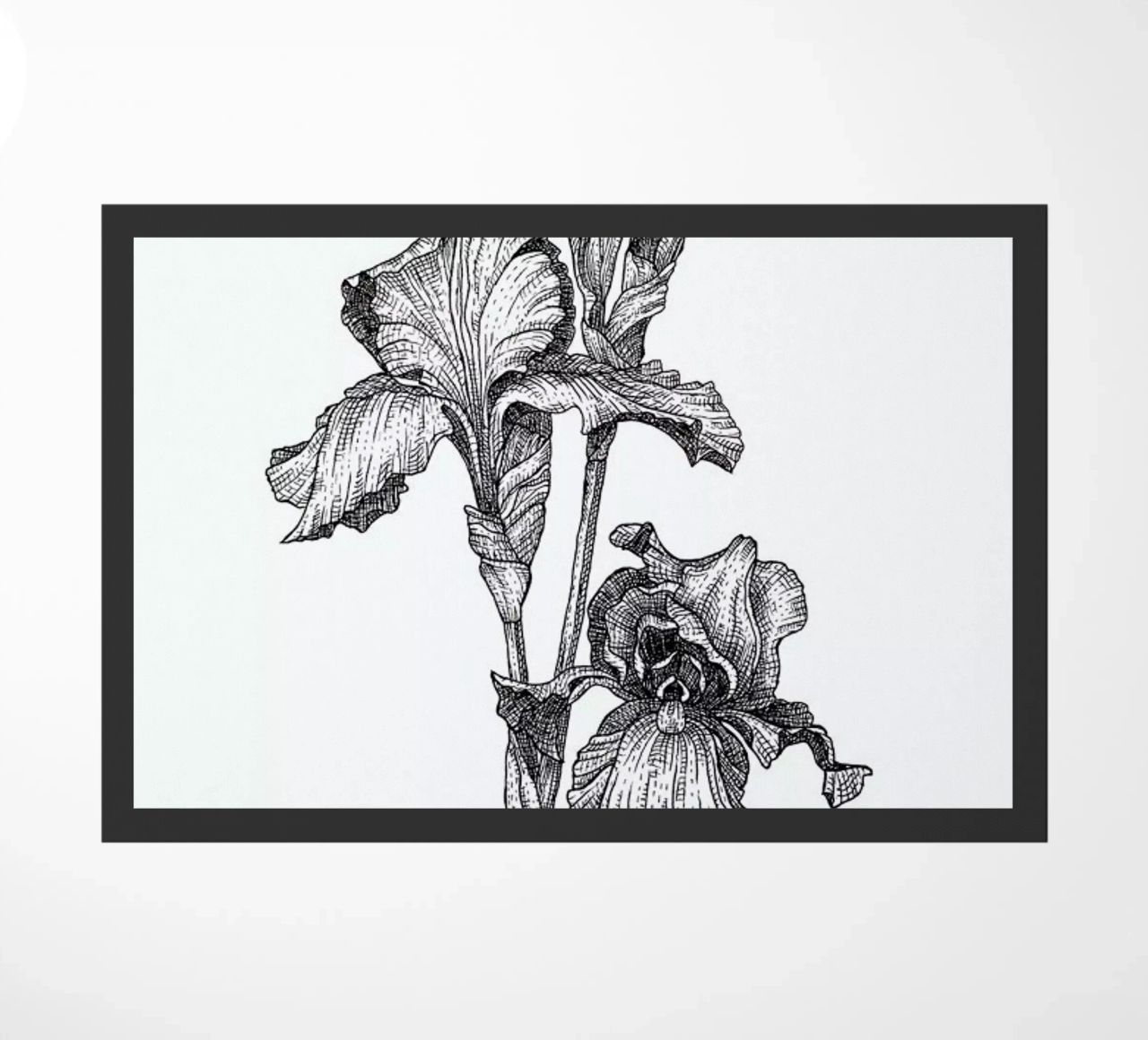 Orchids zerbino da Pen & Ink