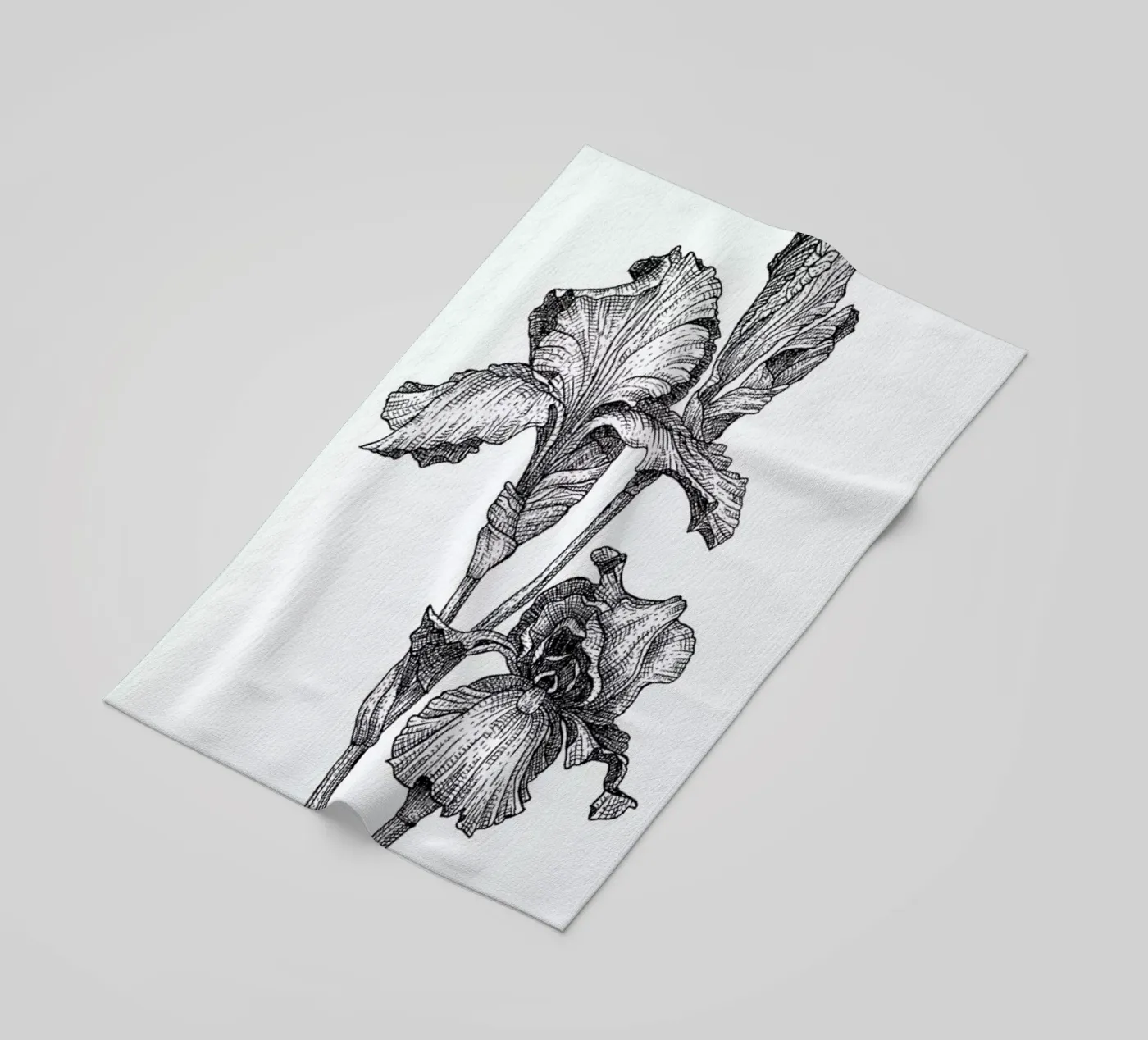 Orchids telo mare da Pen & Ink
