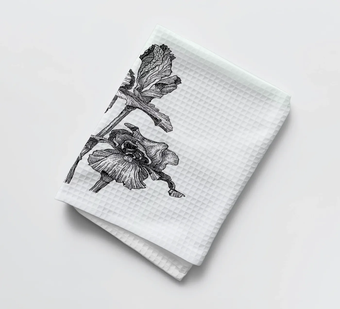 Orchids torchon de Pen & Ink