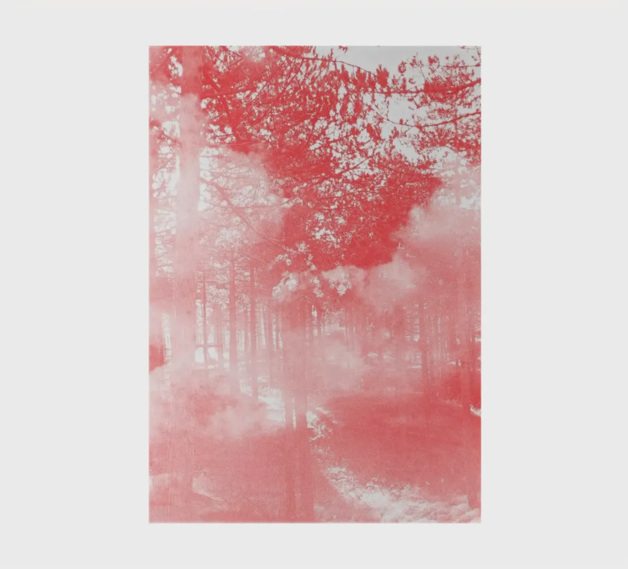 Nature notebook by BlauMaschine