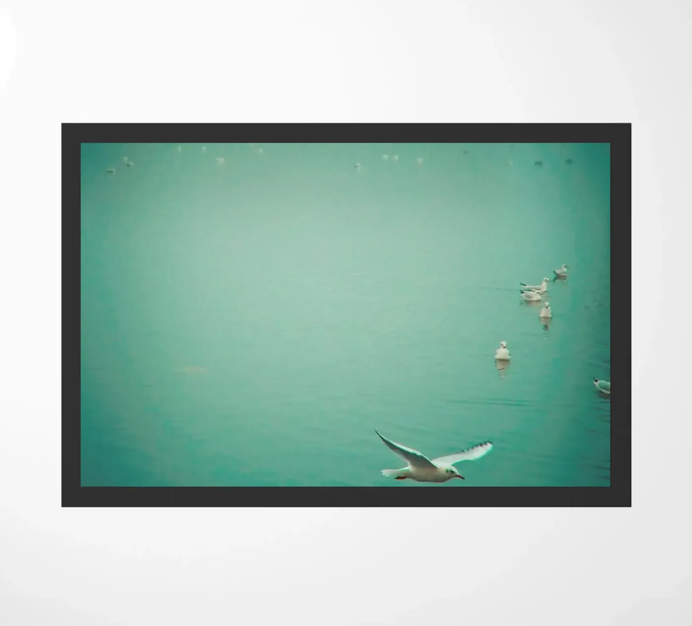 Soul bird zerbino da Keri Bevan
