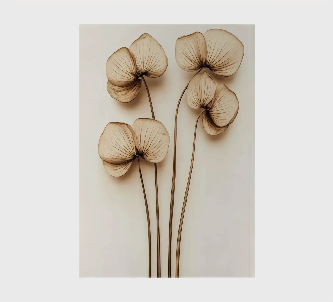 Fiori secchi diario da Imagine