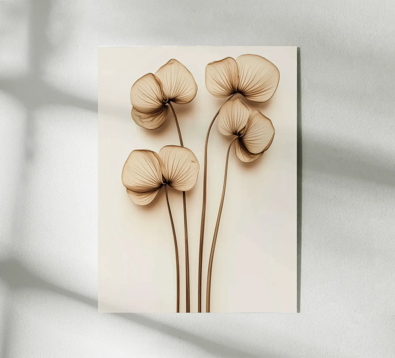 Fiori secchi plexiglass da Imagine