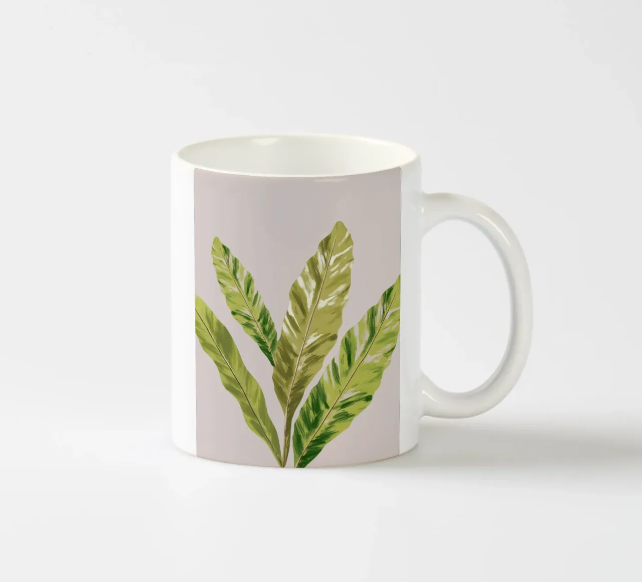 Green Fern Leaves tazza in ceramica da anisillustration