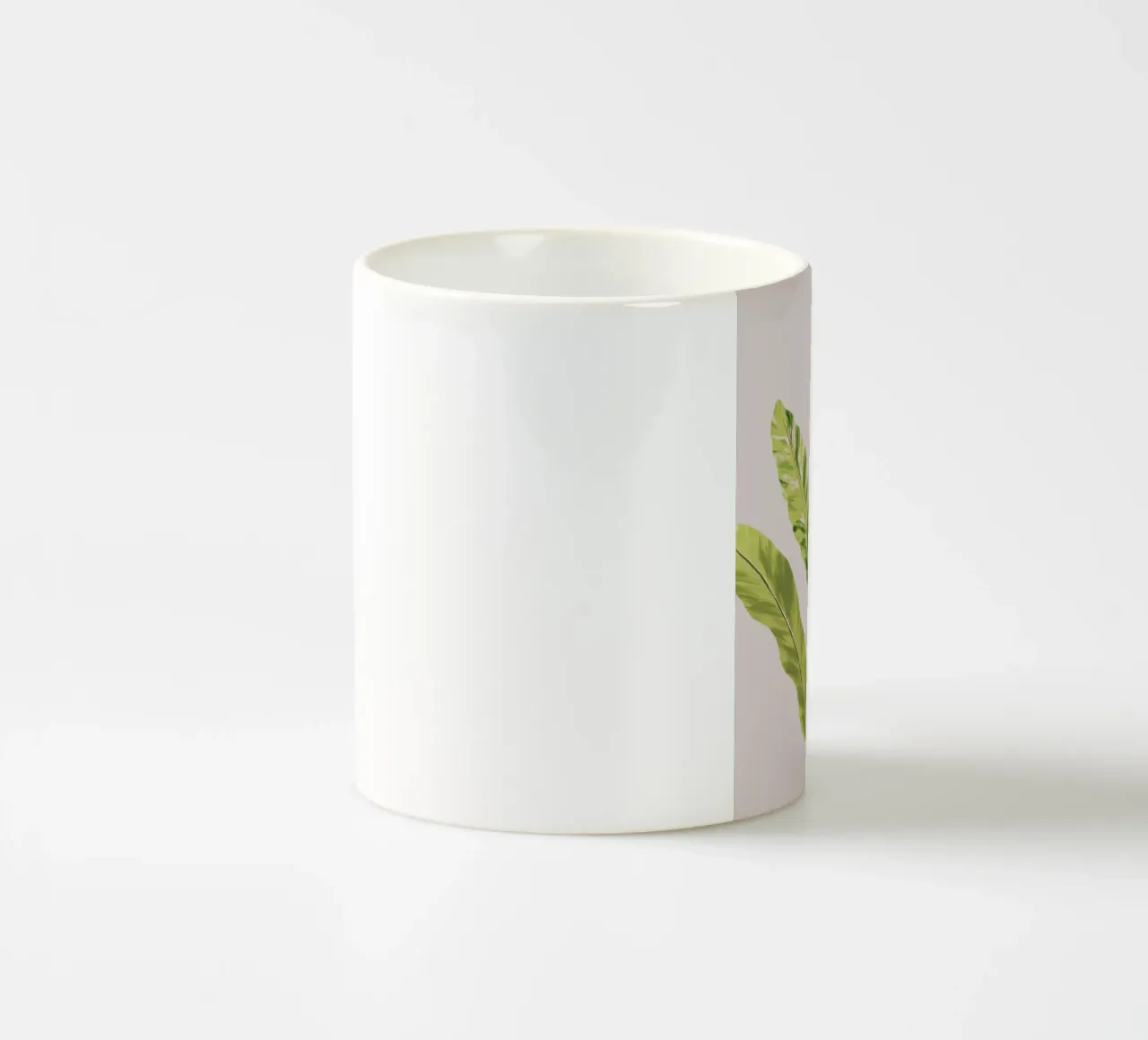 Green Fern Leaves tazza in ceramica da anisillustration