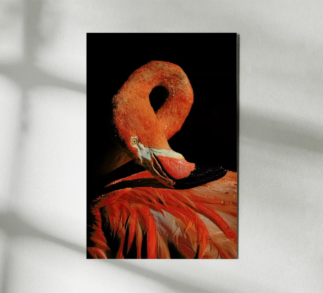 Loop - Zdenek Vales alluminio dibond da Pictufy