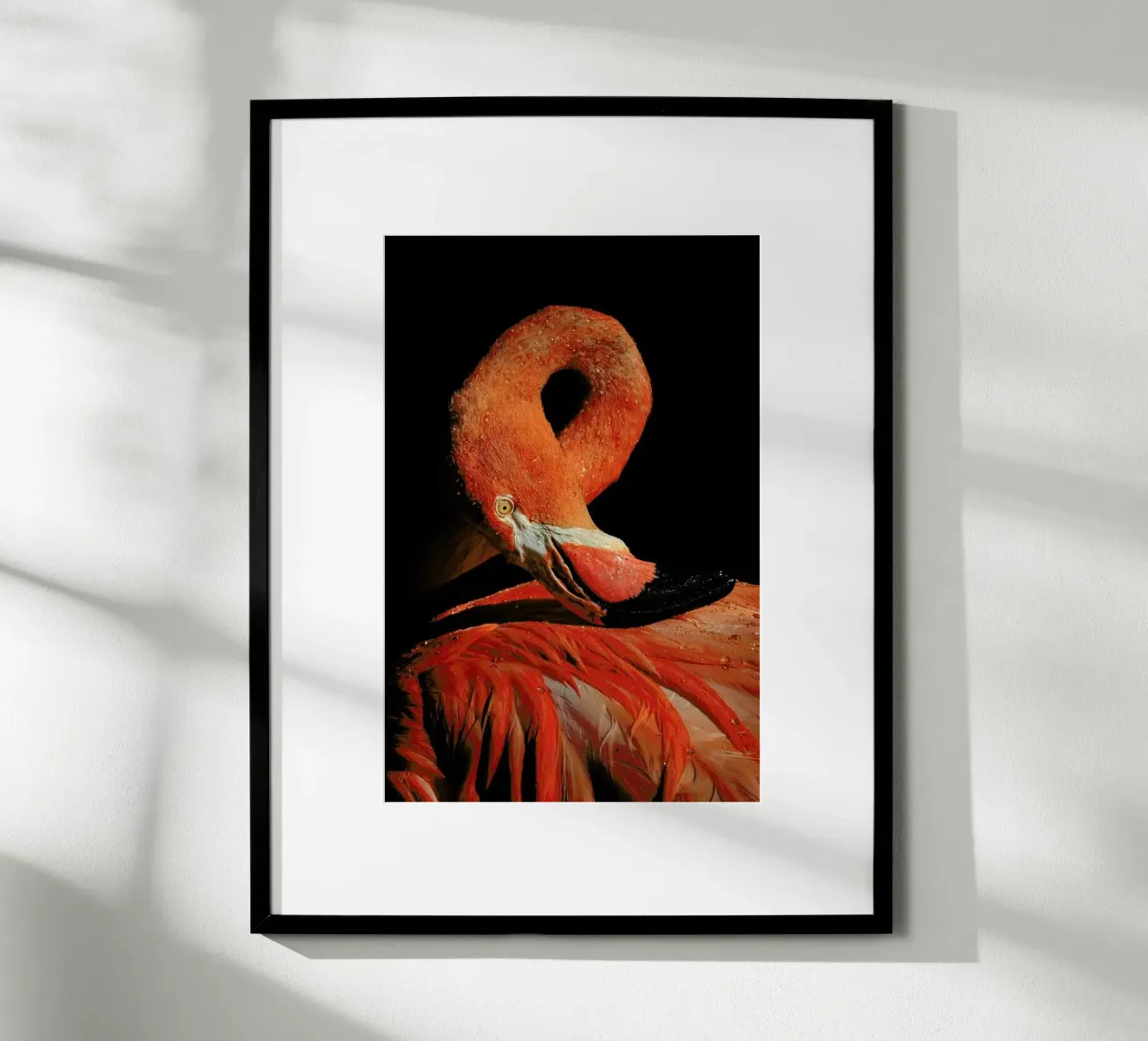 Loop - Zdenek Vales poster con telaio in alluminio da Pictufy