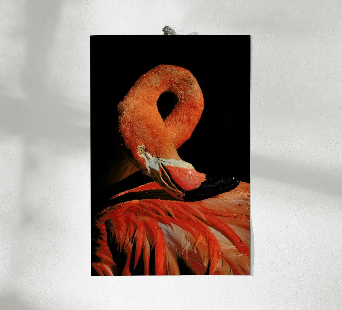 Loop - Zdenek Vales poster da Pictufy