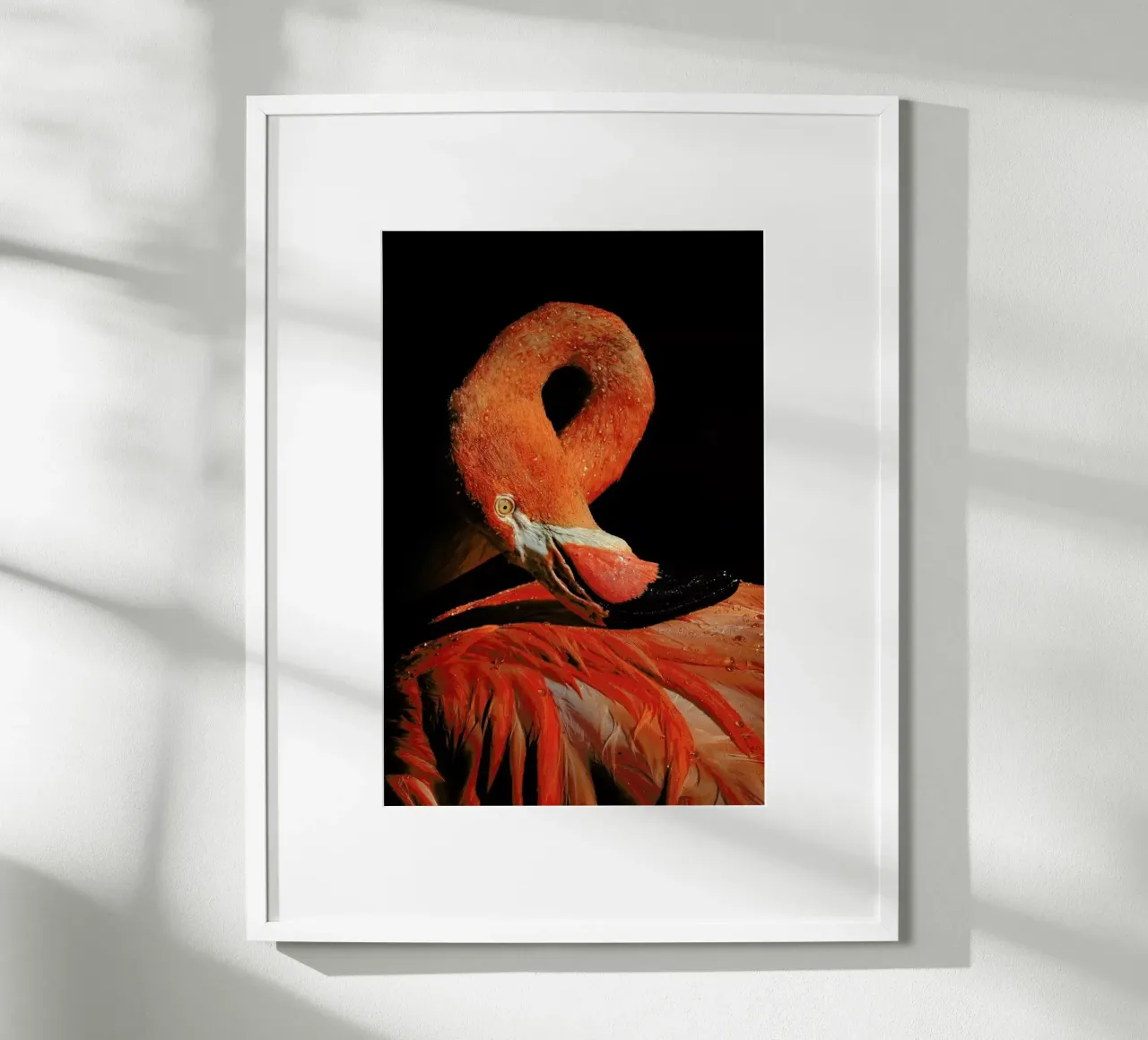 Loop - Zdenek Vales carta hahnemühle da Pictufy