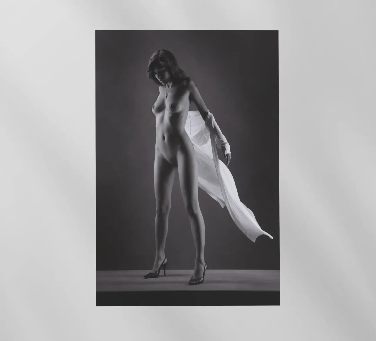 Skye in flight pellicola backlit da Dave Hare Photography