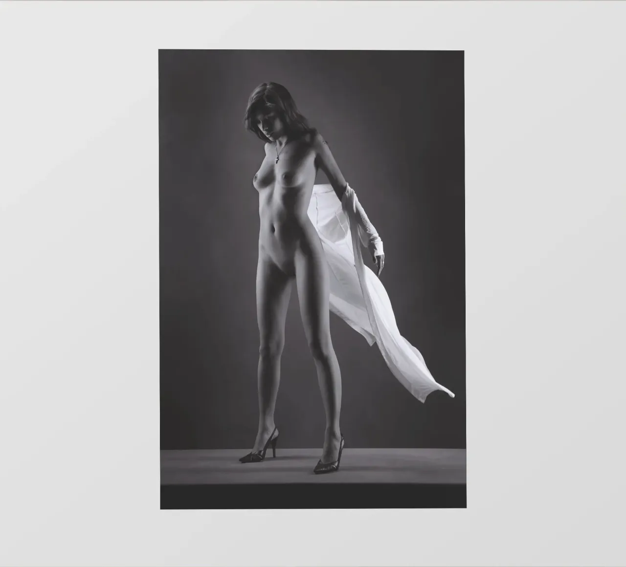 Skye in flight pellicola backlit da Dave Hare Photography