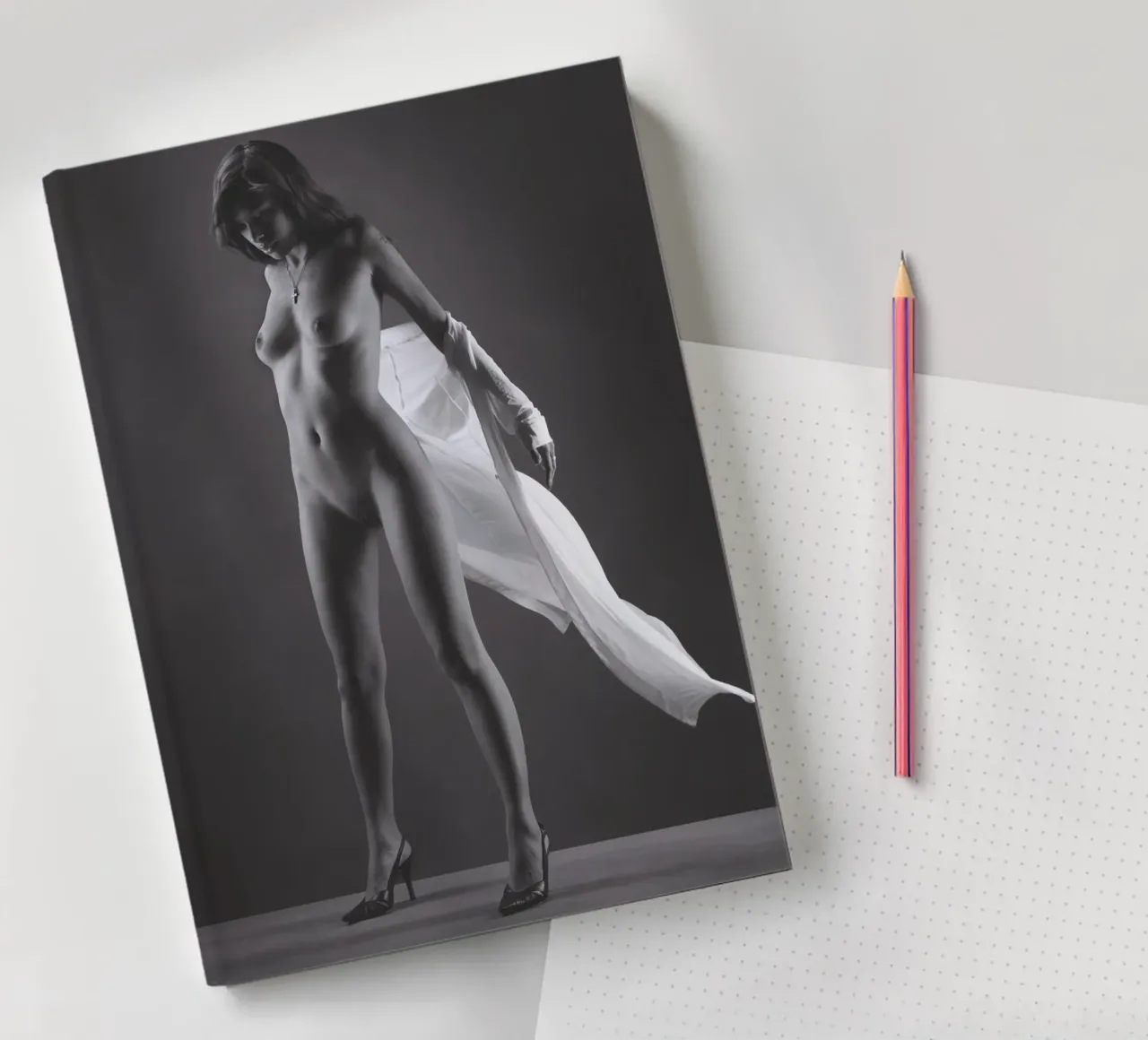 Skye in flight Notizbuch von Dave Hare Photography