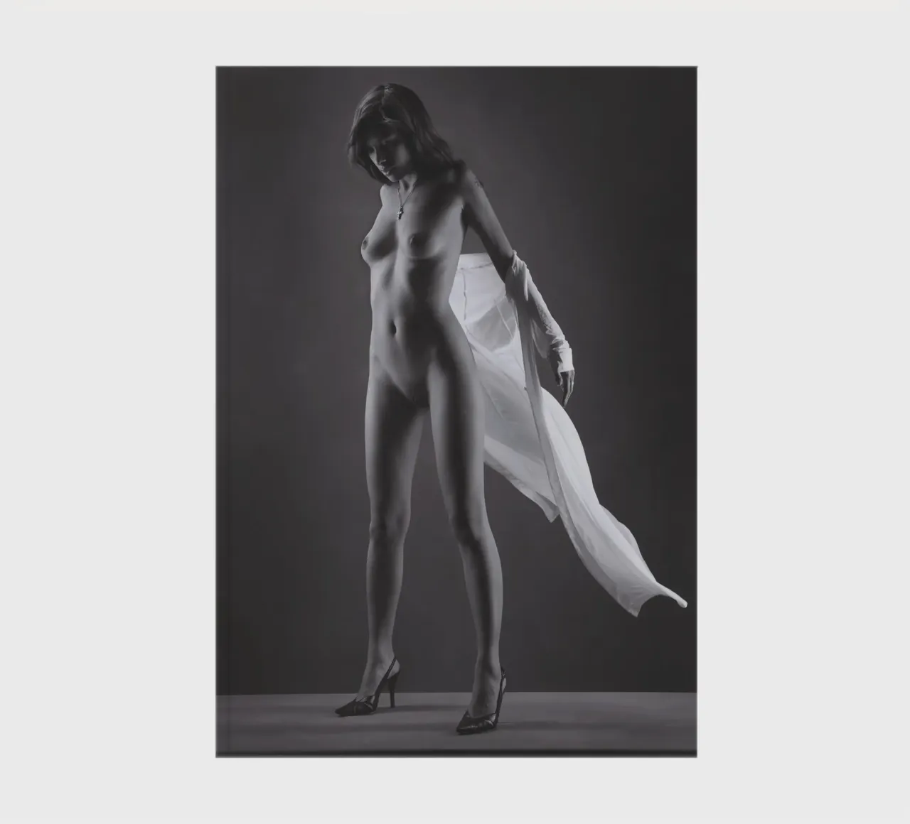 Skye in flight Notizbuch von Dave Hare Photography